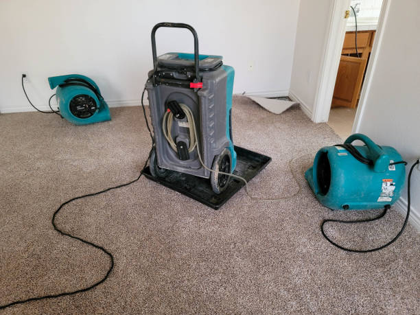Best Water damage contractors near me  in Sellersburg, IN