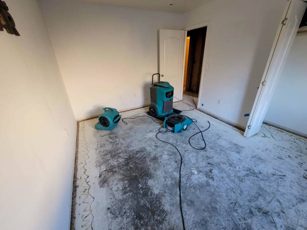 Best Professional water damage repair  in Sellersburg, IN