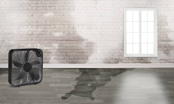  Sellersburg, IN Water damage restoration Pros