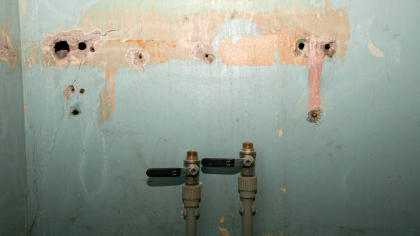 Best Water damage restoration near me  in Sellersburg, IN