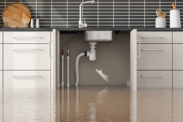 Best Fire Damage Restoration  in Sellersburg, IN
