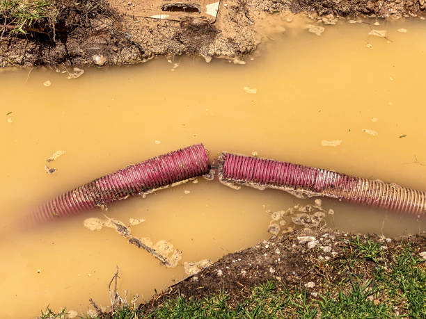 Best Flood damage cleanup  in Sellersburg, IN