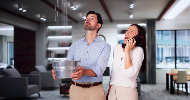 Best Flooded house restoration  in Sellersburg, IN