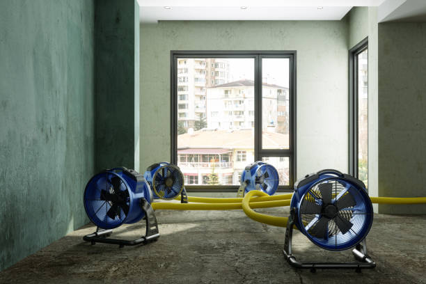 Best 24/7 water damage repair  in Sellersburg, IN