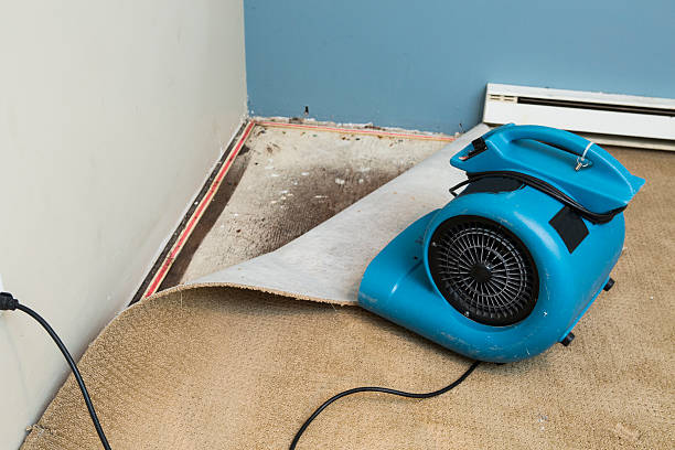 Best Carpet water damage restoration  in Sellersburg, IN